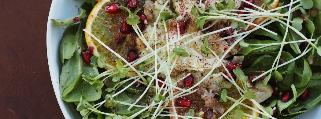 Weihnachtlicher Salat | Weihnachtsmenü | Wunschleder