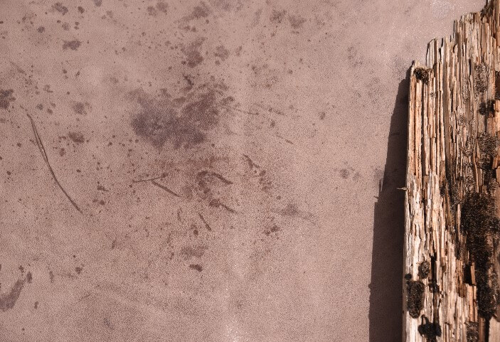 Pferdeleder, Bioleder, Wunschleder HOME