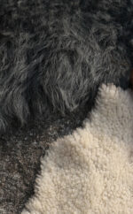 Deko Lammfell, Schaffell grau, echtes Lammfell, Wunschleder HOME | Wunschleder